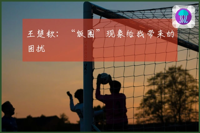 王楚钦：“饭圈”现象给我带来的困扰