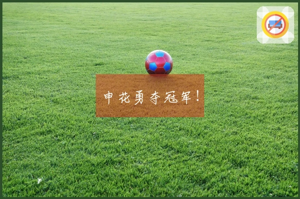 申花勇夺冠军！